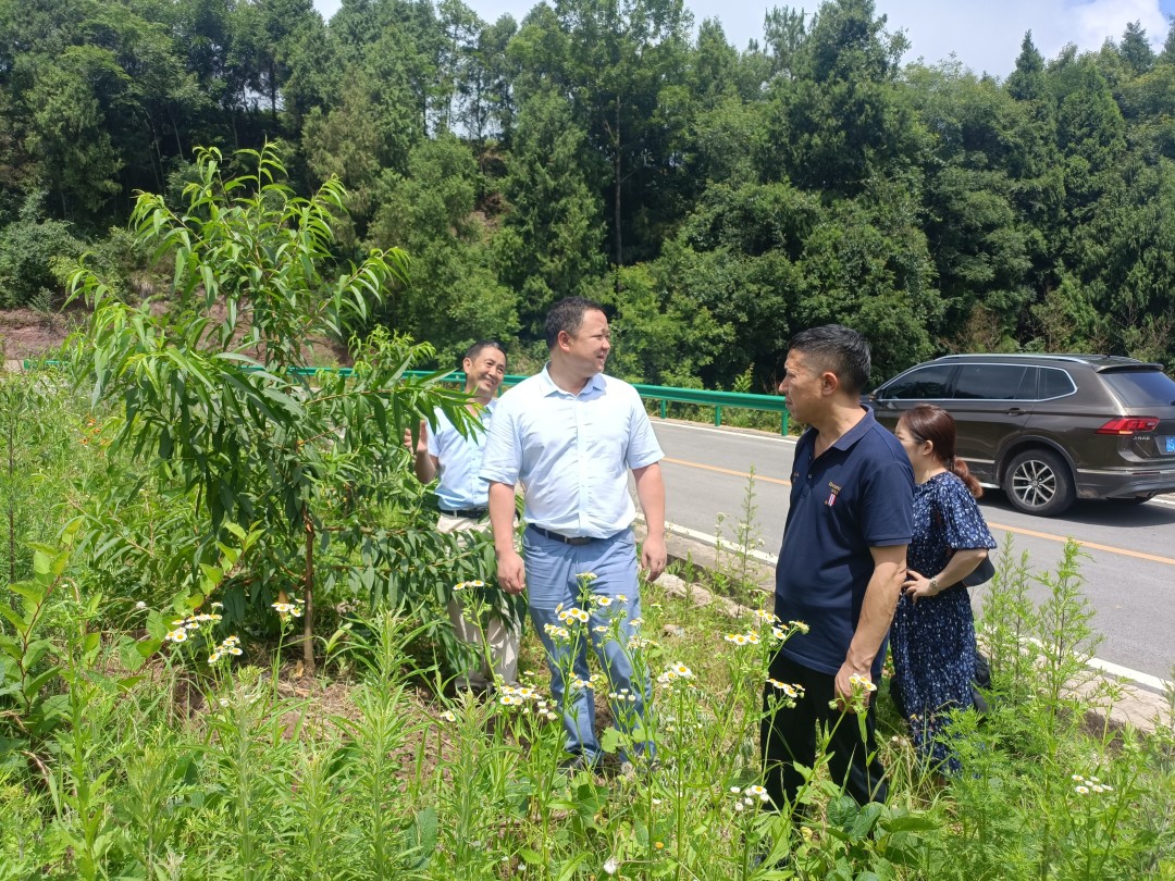 1656493009301.jpg 5064b2f3d6a42bcc2413a2e173e7171.jpg