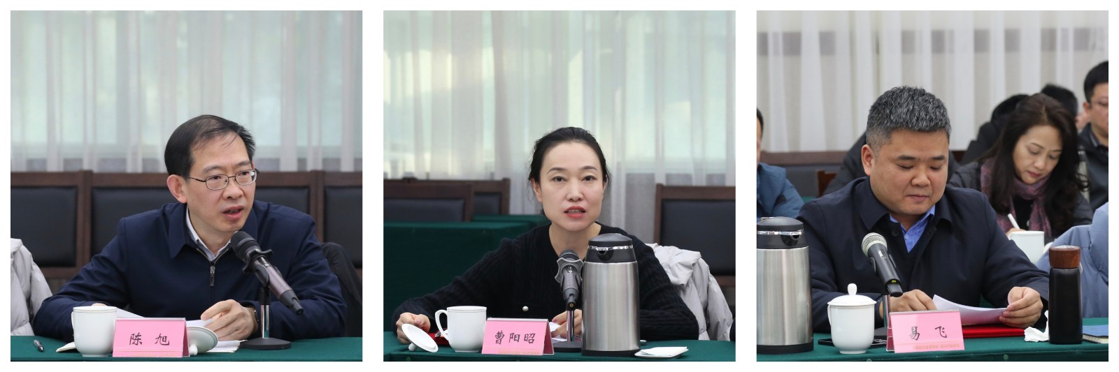 发言代表拼图4.jpg